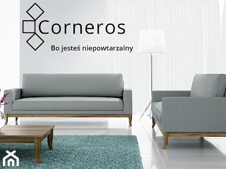 Aranżacje wnętrz - Salon: Sofa Unico - Corneros meble. Przeglądaj, dodawaj i zapisuj najlepsze zdjęcia, pomysły i inspiracje designerskie. W bazie mamy już prawie milion fotografii!