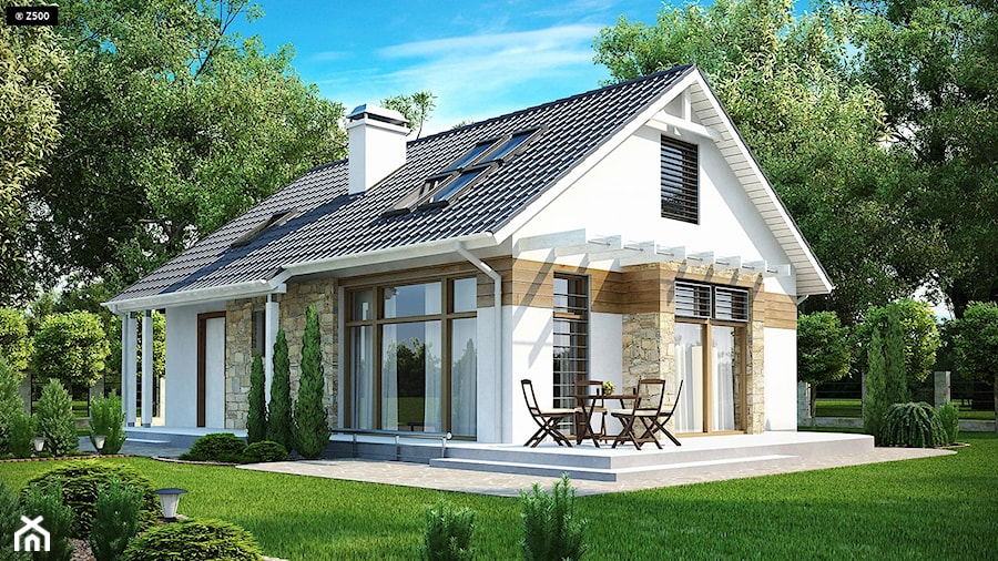 Projekt Z113 - zdjęcie od Top House 1000