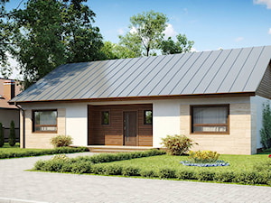 Projekt Z98 - zdjęcie od Top House 1000