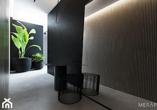 Projekt mieszkania / Gdańsk - Duży czarny hol / przedpokój, styl minimalistyczny - zdjęcie od Merapi Architects