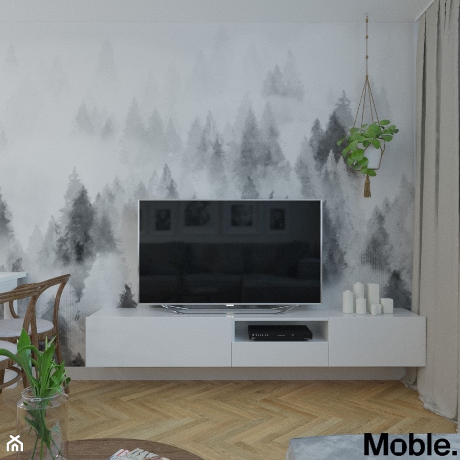 mieszkanie/Śliwki - Salon, styl skandynawski - zdjęcie od Moble.Projekt