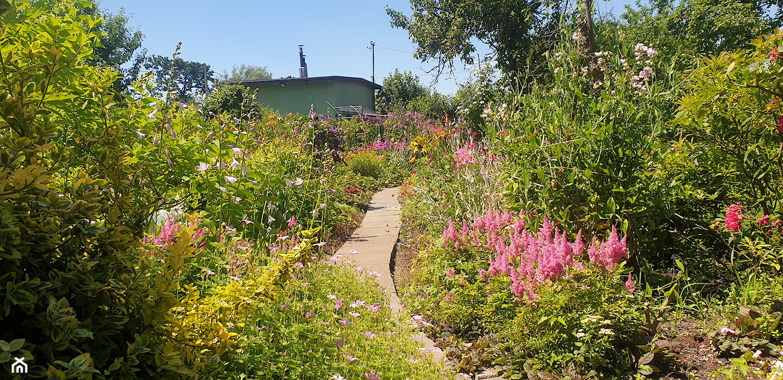kwiecisty ogród - zdjęcie od lolcia-wybitna - Homebook