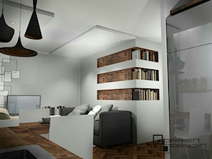Projekt wnętrza mieszkania w poznańskim bloku - Salon, styl nowoczesny - zdjęcie od Darien Design