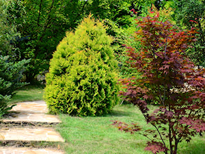 Ogród z widokiem na Beskidy - Ogród - zdjęcie od Dendronica Ogrody