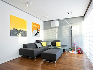 Mieszkanie Adama - Salon, styl nowoczesny - zdjęcie od Pawlowska studio