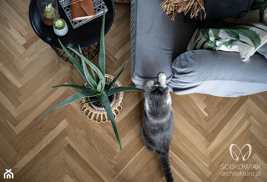 Wypoczynek w stylu boho - zdjęcie od Sobkowiak Architektura