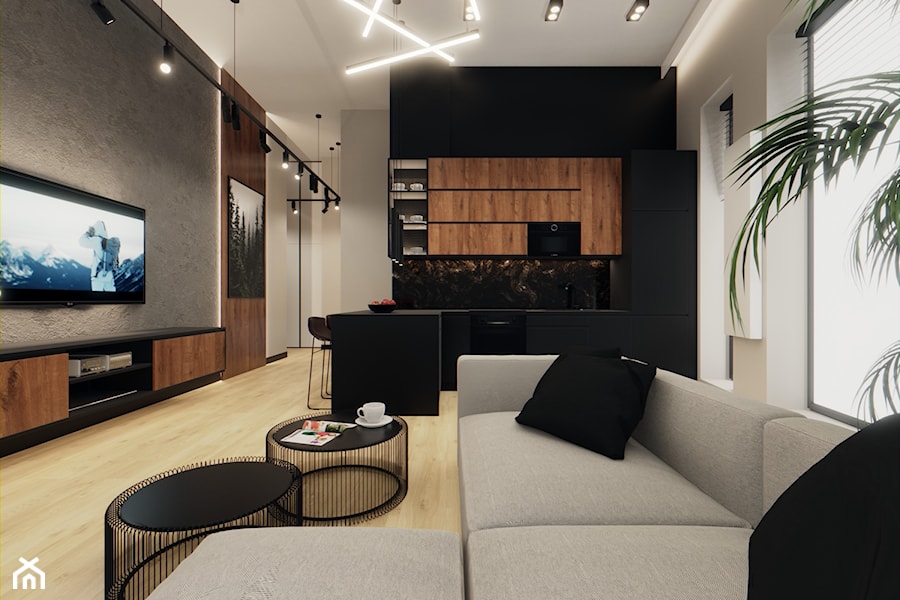 Projekt mieszkania, Katowice 2 - Salon, styl nowoczesny - zdjęcie od Vizman Design