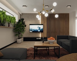 Projekt domu, Gliwice - Średni biały szary salon, styl nowoczesny - zdjęcie od Vizman Design - Homebook