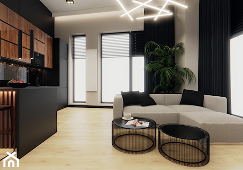 Projekt mieszkania, Katowice 2 - Salon, styl nowoczesny - zdjęcie od Vizman Design