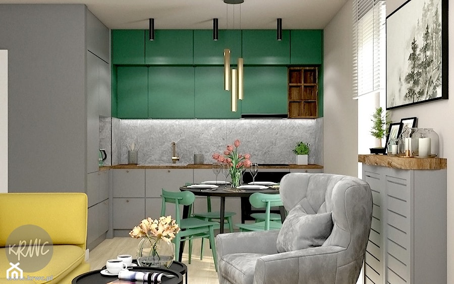Salon z aneksem kuchennym - dżungla - Kuchnia, styl nowoczesny - zdjęcie od KRWC Design