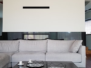 Spokój minimalizmu - Mały szary salon, styl minimalistyczny - zdjęcie od ALMINAS WNĘTRZA