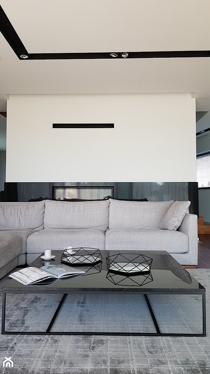 Spokój minimalizmu - Mały szary salon, styl minimalistyczny - zdjęcie od ALMINAS WNĘTRZA