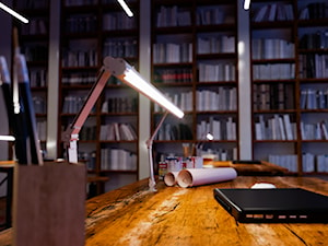 Biblioteka z oświetleniem LED - Wnętrza publiczne, styl nowoczesny - zdjęcie od Lumines Lighting