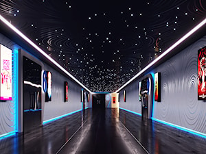 Oświetlenie LED sali teatralnej / kinowej - Wnętrza publiczne, styl nowoczesny - zdjęcie od Lumines Lighting
