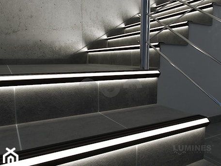 Aranżacje wnętrz - Wnętrza publiczne: Oświetlenie schodów w przestrzeni industrialnej - Lumines Lighting. Przeglądaj, dodawaj i zapisuj najlepsze zdjęcia, pomysły i inspiracje designerskie. W bazie mamy już prawie milion fotografii!