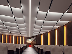 Oświetlenie LED sali teatralnej / kinowej - Wnętrza publiczne, styl nowoczesny - zdjęcie od Lumines Lighting
