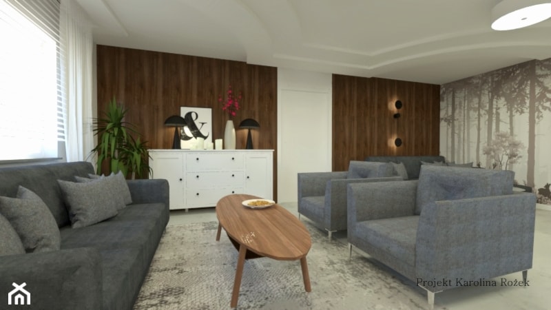 Dom wczasowy - Salon, styl nowoczesny - zdjęcie od Projektowanie wnętrz Karolina Rożek