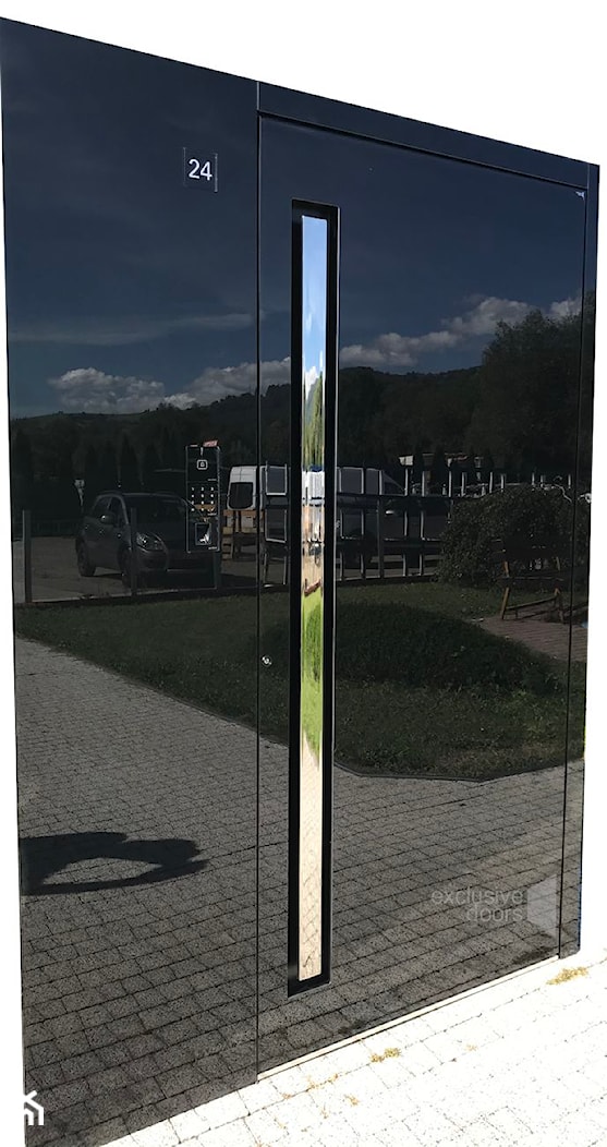 Drzwi wejściowe szklane - zdjęcie od exclusvie doors - drzwi zewnętrzne aluminiowe - Homebook