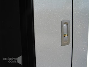 drzwi exclusive doors - zdjęcie od exclusvie doors - drzwi zewnętrzne aluminiowe