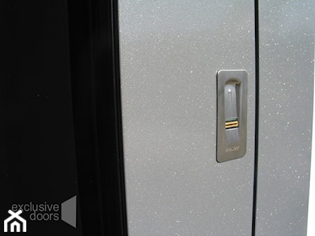 Aranżacje wnętrz - Domy: drzwi exclusive doors - exclusvie doors - drzwi zewnętrzne aluminiowe . Przeglądaj, dodawaj i zapisuj najlepsze zdjęcia, pomysły i inspiracje designerskie. W bazie mamy już prawie milion fotografii!