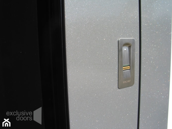 drzwi exclusive doors - zdjęcie od exclusvie doors - drzwi zewnętrzne aluminiowe - Homebook