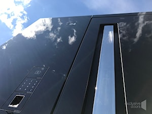 Szklane drzwi wejściowe - drzwi pokryte czarnym szkłem