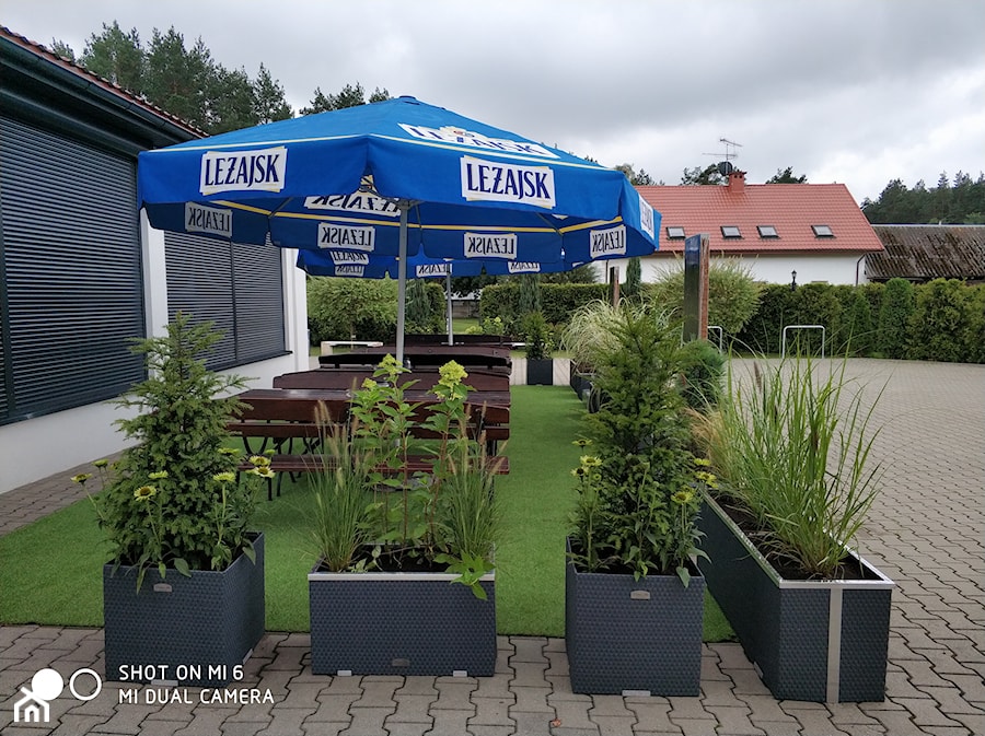 Ogródek przy lokalu gastronomicznym - Ogród, styl nowoczesny - zdjęcie od Flora