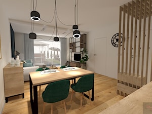 Apartament wakacyjny w Pogorzelicy - Salon, styl nowoczesny - zdjęcie od AS studio