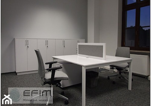 biurko dwustanowiskowe - zdjęcie od EFIM_meble na miarę