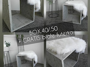 BOX.40 / BOX.50 - zdjęcie od concre beton architektoniczny