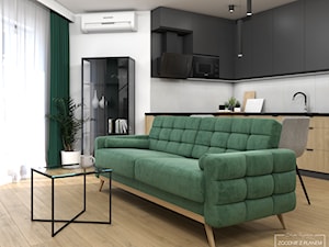 Mieszkanie singla w Warszawie - Salon, styl nowoczesny - zdjęcie od Studio Projektowe Zgodnie Z Planem