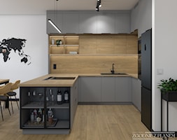 Mieszkanie w Świętochłowicach - Kuchnia, styl nowoczesny - zdjęcie od Studio Projektowe Zgodnie Z Planem - Homebook