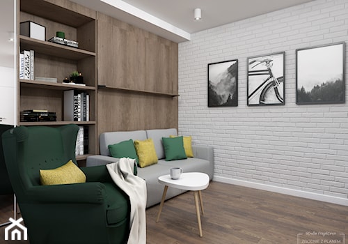 Mieszkanie w Chorzowie - Mały szary salon, styl skandynawski - zdjęcie od Studio Projektowe Zgodnie Z Planem