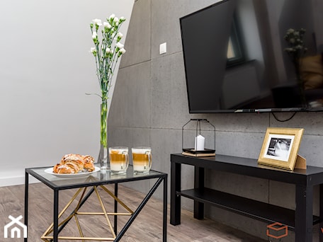 Aranżacje wnętrz - Salon: City Palace Apartamenty 3 - Mały szary salon - SpacerWEB Fotografia wnętrz i Wirtualne spacery 3D. Przeglądaj, dodawaj i zapisuj najlepsze zdjęcia, pomysły i inspiracje designerskie. W bazie mamy już prawie milion fotografii!