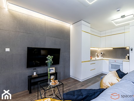 Aranżacje wnętrz - Salon: City Palace Apartamenty 3 - Mały biały szary salon z kuchnią - SpacerWEB Fotografia wnętrz i Wirtualne spacery 3D. Przeglądaj, dodawaj i zapisuj najlepsze zdjęcia, pomysły i inspiracje designerskie. W bazie mamy już prawie milion fotografii!