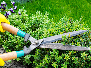 Cennik usług ogrodniczych – ile kosztuje pielęgnacja ogrodu?