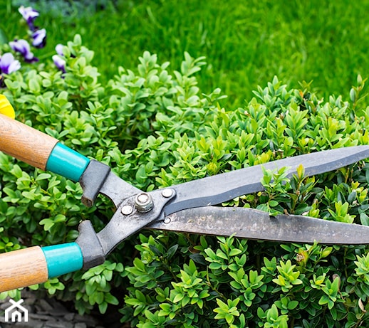 Cennik usług ogrodniczych – ile kosztuje pielęgnacja ogrodu?