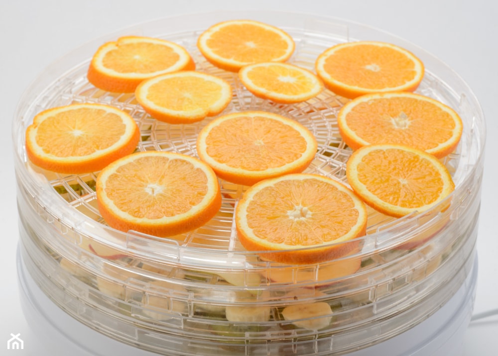suszenie pomarańczy w suszarce spożywczej