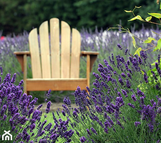 6 pomysłów na aranżację ogrodu w stylu prowansalskim – sprawdź i zainspiruj się