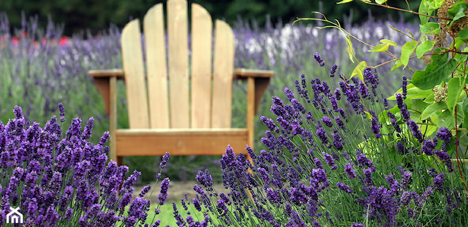 6 pomysłów na aranżację ogrodu w stylu prowansalskim – sprawdź i zainspiruj się