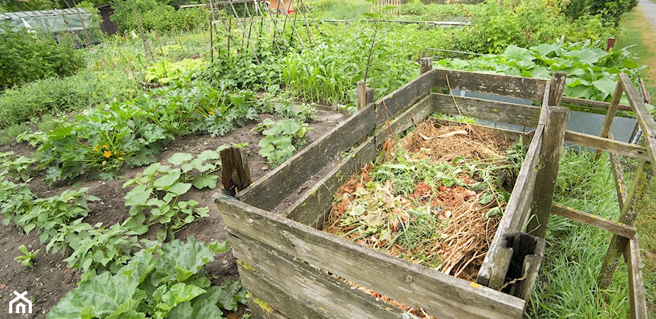 Kompostownik – co warto wiedzieć o kompostowaniu w ogrodzie?