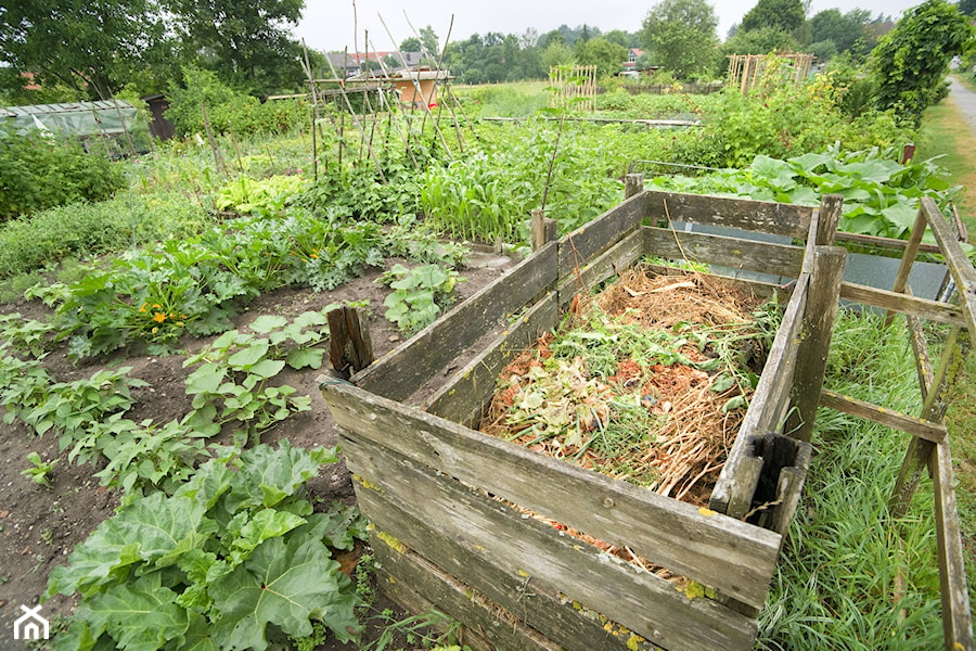 - zdjęcie od Inspiracje Dom i Ogród