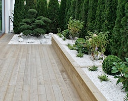 Ogród w Gdyni Orłowie - realizacja - Mały ogród za domem, styl nowoczesny - zdjęcie od Green Pro Studio - Homebook