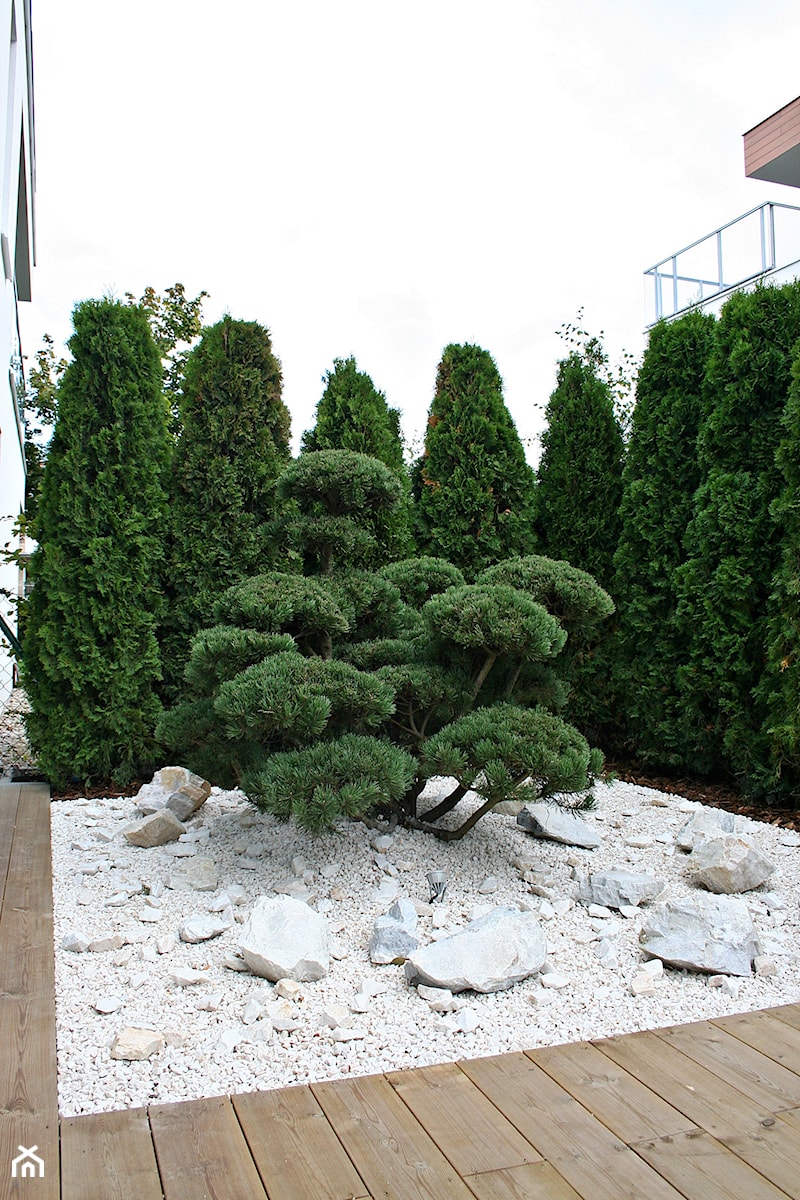 Ogród w Gdyni Orłowie - realizacja - Mały ogród japoński za domem, styl nowoczesny - zdjęcie od Green Pro Studio