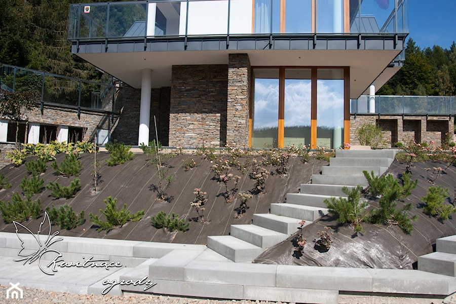 Projekt zieleni Kamianna - Średni ogród za domem zadaszony przedłużeniem dachu - zdjęcie od Kwitnące Ogrody