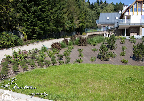 Projekt zieleni Kamianna - Duży ogród za domem - zdjęcie od Kwitnące Ogrody
