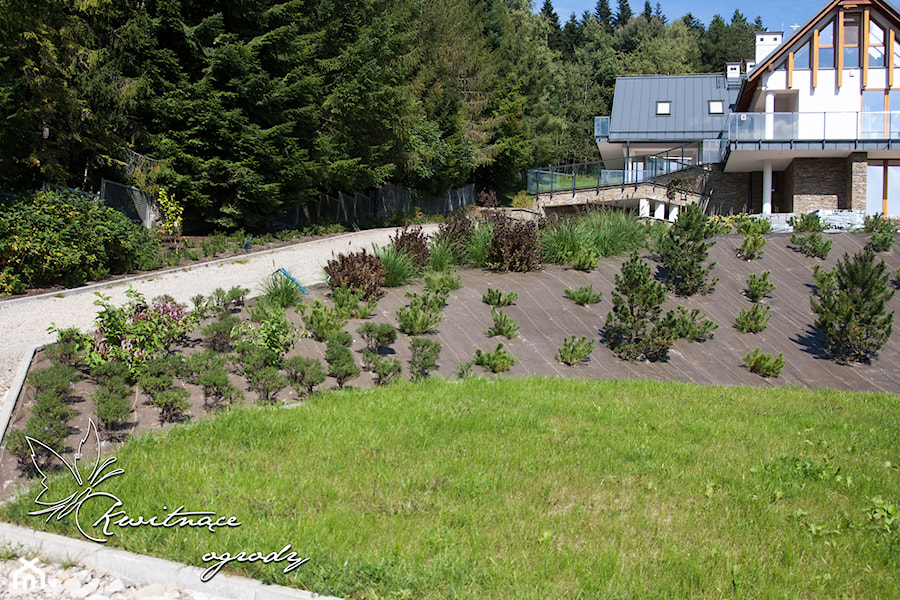 Projekt zieleni Kamianna - Duży ogród za domem - zdjęcie od Kwitnące Ogrody