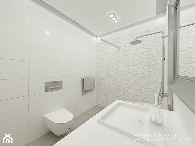 projekt łazienki / mieszkanie prywatne