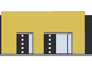 elewacja wejściowa - zdjęcie od BIAMS Budownictwo i Architektura Marcin Sieradzki - projektant, architekt