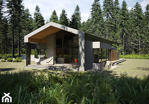 Dom z dachem dwuspadowym - zdjęcie od BIAMS Budownictwo i Architektura Marcin Sieradzki - projektant, architekt